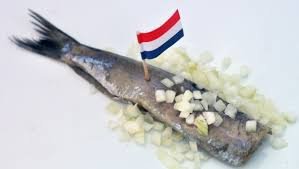 Haringtocht